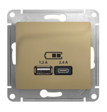 Розетка 2xUSB Systeme Electric GLOSSA, скрытый монтаж, титан, GSL000439