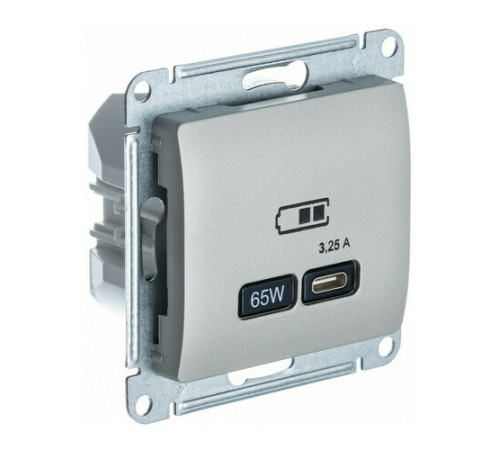 Розетка USB type C Systeme Electric GLOSSA, скрытый монтаж, платина, GSL001227