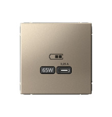 Розетка USB type C Systeme Electric ARTGALLERY, скрытый монтаж, шампань, GAL000527