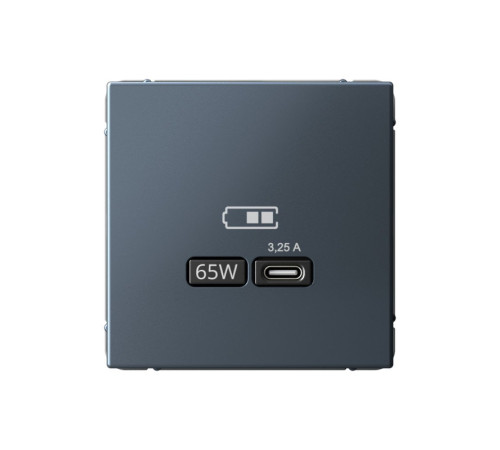 Розетка USB type C Systeme Electric ARTGALLERY, скрытый монтаж, грифель, GAL000727