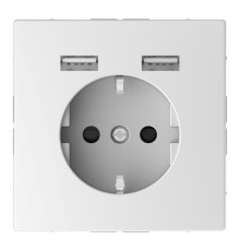 Розетка с USB Schneider Electric MERTEN D-LIFE, скрытый монтаж, с заземлением, белый лотос