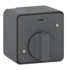 MUREVA S, ВЫКЛЮЧАТЕЛЬ с таймером (реле времени), открыт. устан., АНТРАЦИТ, IP55