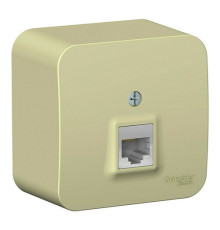Розетка компьютерная RJ45 Systeme Electric BLANCA, открытый монтаж, бежевый, BLNIA045007