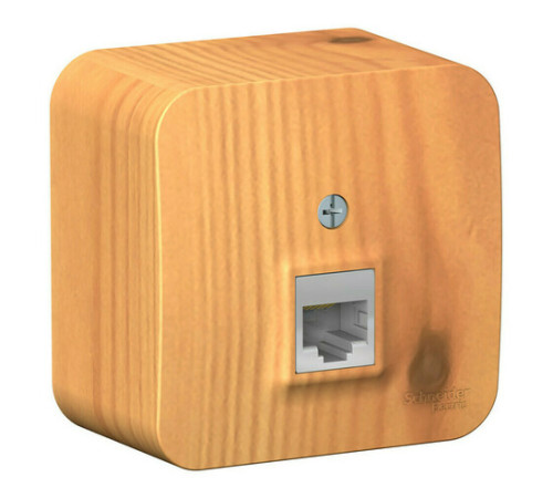 Розетка компьютерная RJ45 Systeme Electric BLANCA, открытый монтаж, ясень, BLNIA045005