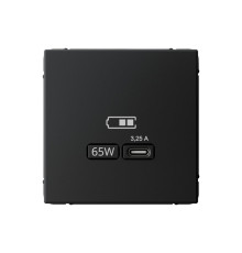 Розетка USB type C Systeme Electric ARTGALLERY, скрытый монтаж, карбон, GAL001027