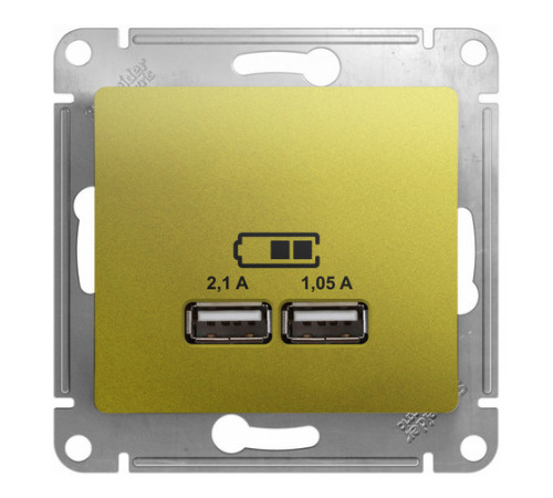 Розетка 2xUSB Systeme Electric GLOSSA, фисташковый