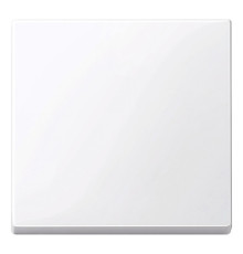 Клавиша Schneider Electric MERTEN SYSTEM M, активный белый