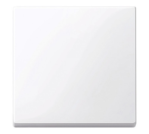 Клавиша Schneider Electric MERTEN SYSTEM M, активный белый
