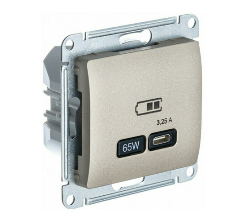 Розетка USB type C Systeme Electric GLOSSA, скрытый монтаж, титан, GSL000427