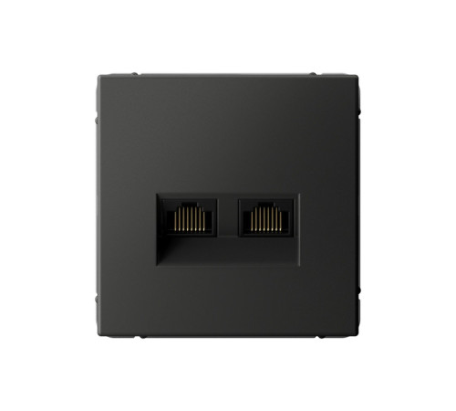 Розетка компьютерная 2xRJ45 Systeme Electric ARTGALLERY, скрытый монтаж, базальт, GAL001488