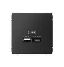 Розетка USB+USB type C Systeme Electric ARTGALLERY, скрытый монтаж, базальт, GAL001429