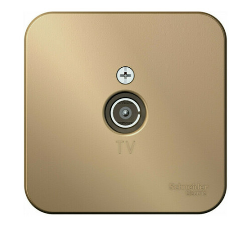 Розетка TV Systeme Electric BLANCA, оконечная, открытый монтаж, титан, BLNTA000014