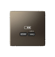 Розетка USB type C Systeme Electric ARTGALLERY, скрытый монтаж, мокко, GAL000627