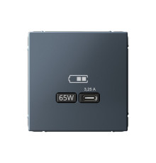 Розетка USB type C Systeme Electric ARTGALLERY, скрытый монтаж, грифель, GAL000727