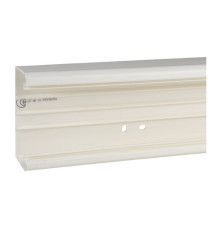 КАБЕЛЬ-КАНАЛ 101x50 С КРЫШКОЙ