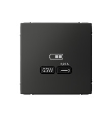 Розетка USB type C Systeme Electric ARTGALLERY, скрытый монтаж, базальт, GAL001427