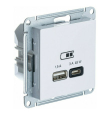 Розетка USB+USB type C Systeme Electric ATLASDESIGN, скрытый монтаж, белый, ATN000129