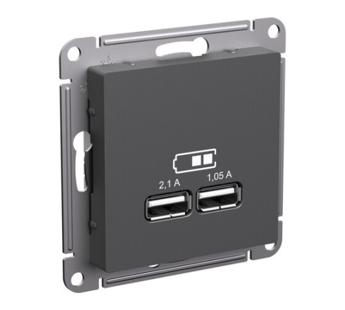Розетка 2xUSB Systeme Electric ATLASDESIGN, скрытый монтаж, базальт, ATN001433
