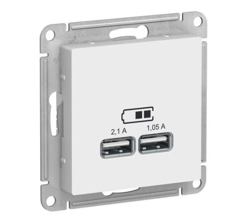Розетка 2xUSB Systeme Electric ATLASDESIGN, скрытый монтаж, лотос, ATN001333
