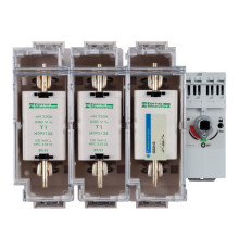 Рубильник с предохранителем Schneider Electric TeSys GS 250А 3P, 1