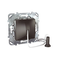 Выключатель со шнуром 10А 250В~