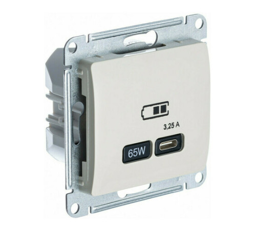 Розетка USB type C Systeme Electric GLOSSA, скрытый монтаж, молочный, GSL000927
