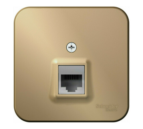Розетка телефонная RJ11 Systeme Electric BLANCA, открытый монтаж, титан, BLNIA011004