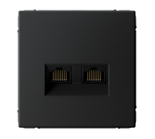 Розетка компьютерная 2xRJ45 Systeme Electric ARTGALLERY, скрытый монтаж, карбон, GAL001088
