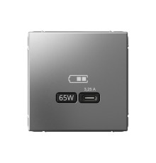 Розетка USB type C Systeme Electric ARTGALLERY, скрытый монтаж, сталь, GAL000927