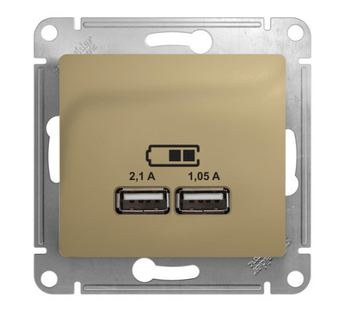 Розетка 2xUSB Systeme Electric GLOSSA, титан