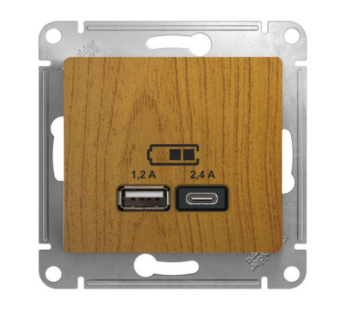 Розетка 2xUSB Systeme Electric GLOSSA, скрытый монтаж, дуб, GSL000539