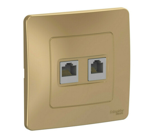 Розетка телефонная+компьютерная RJ11+RJ45 Systeme Electric BLANCA, скрытый монтаж, титан, BLNIS045114