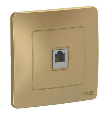 Розетка телефонная RJ11 Systeme Electric BLANCA, скрытый монтаж, титан, BLNIS011004