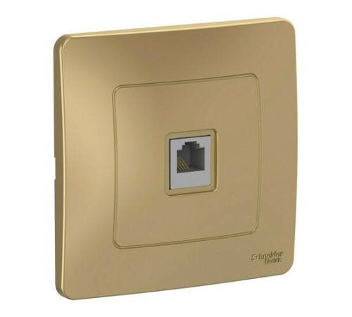 Розетка телефонная RJ11 Systeme Electric BLANCA, скрытый монтаж, титан, BLNIS011004