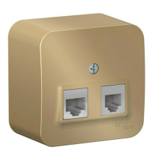 Розетка телефонная+компьютерная RJ11+RJ45 Systeme Electric BLANCA, скрытый монтаж, титан, BLNIA045114