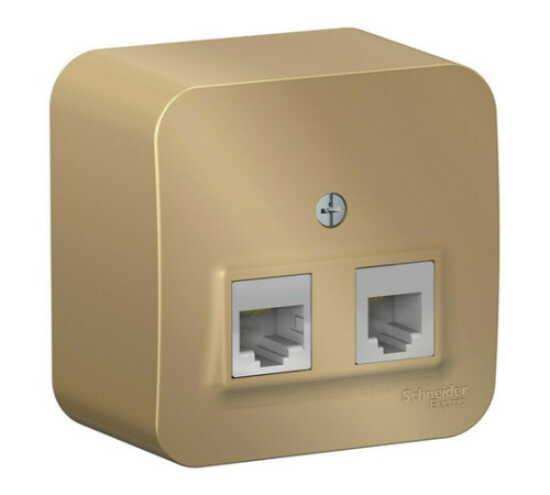 Розетка телефонная+компьютерная RJ11+RJ45 Systeme Electric BLANCA, скрытый монтаж, титан, BLNIA045114